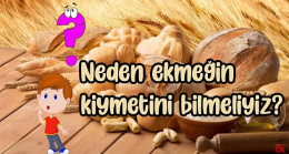 Neden ekmeğin kıymetini bilmeliyiz?